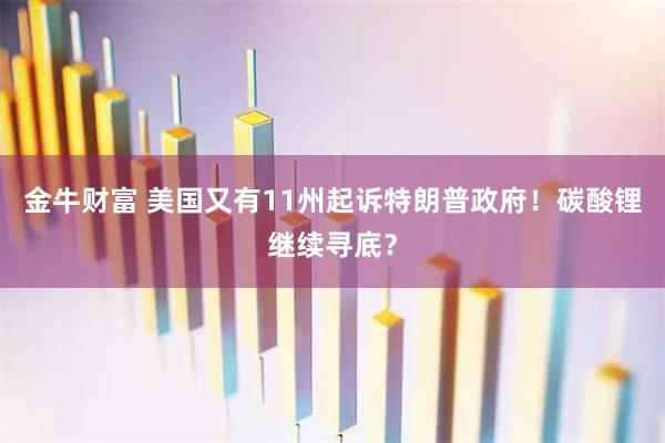 金牛财富 美国又有11州起诉特朗普政府！碳酸锂继续寻底？