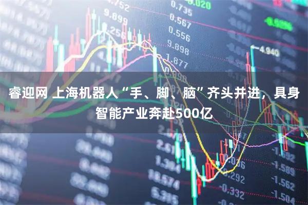 睿迎网 上海机器人“手、脚、脑”齐头并进，具身智能产业奔赴500亿